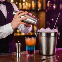 Coctelera lifestyle fiesta